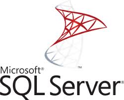 Imagen logo SQL Server